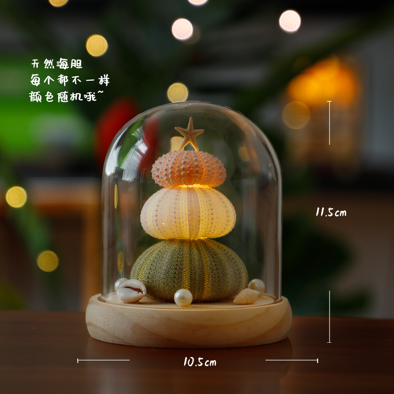 Sea Urchin Shell Lamp