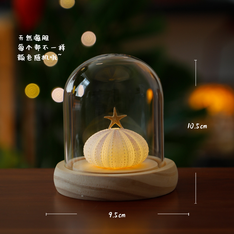 Sea Urchin Shell Lamp