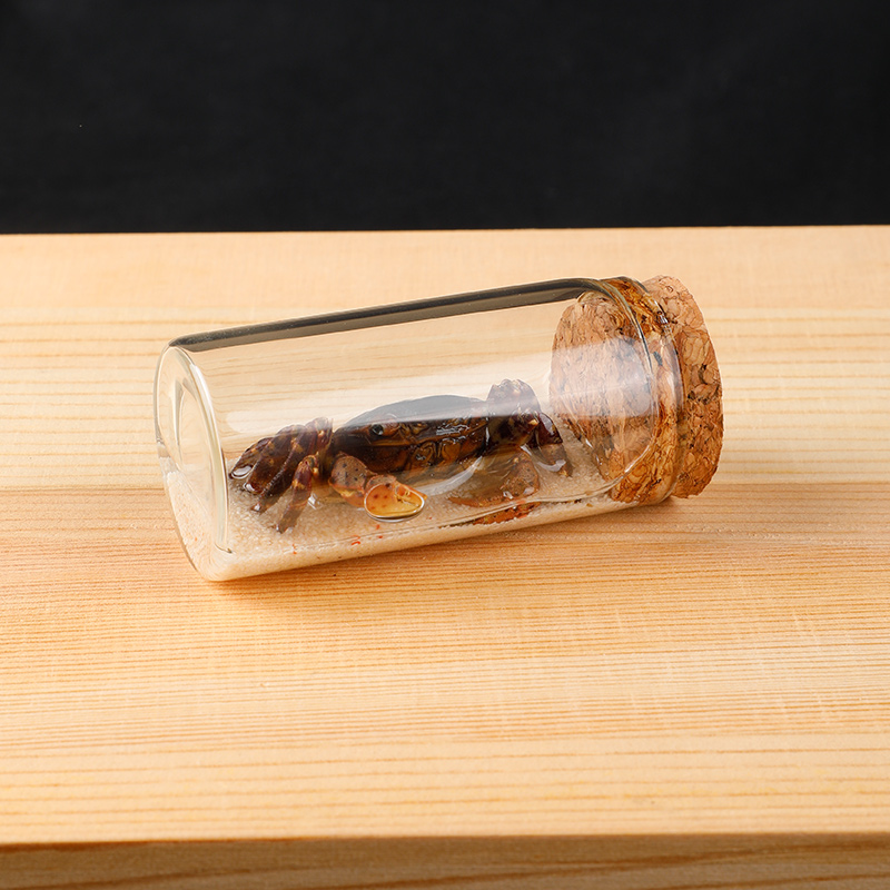 Drift Bottles Item