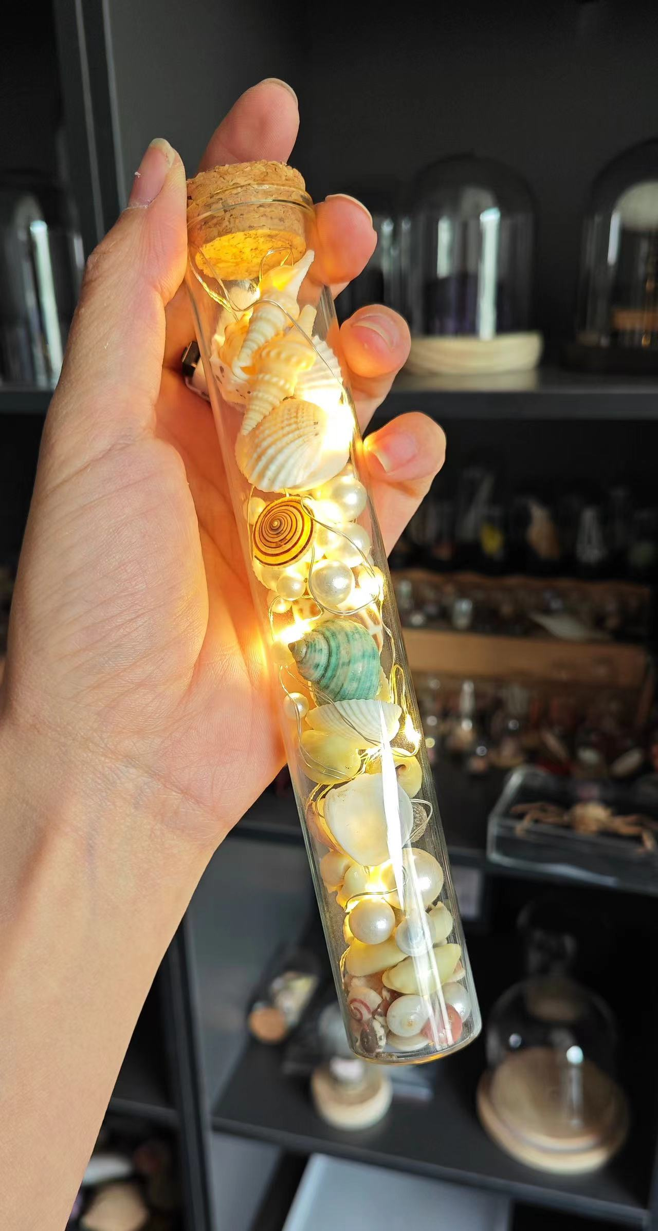 Shell Lamp