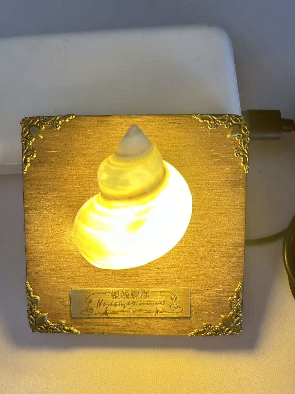 Shell Lamp wholesale shell craft – LAMP-S01-R014, view 1