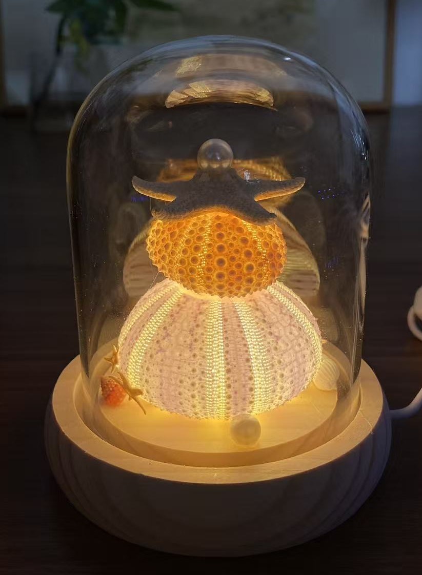 Shell Lamp wholesale shell craft – LAMP-S01-R008, view 1
