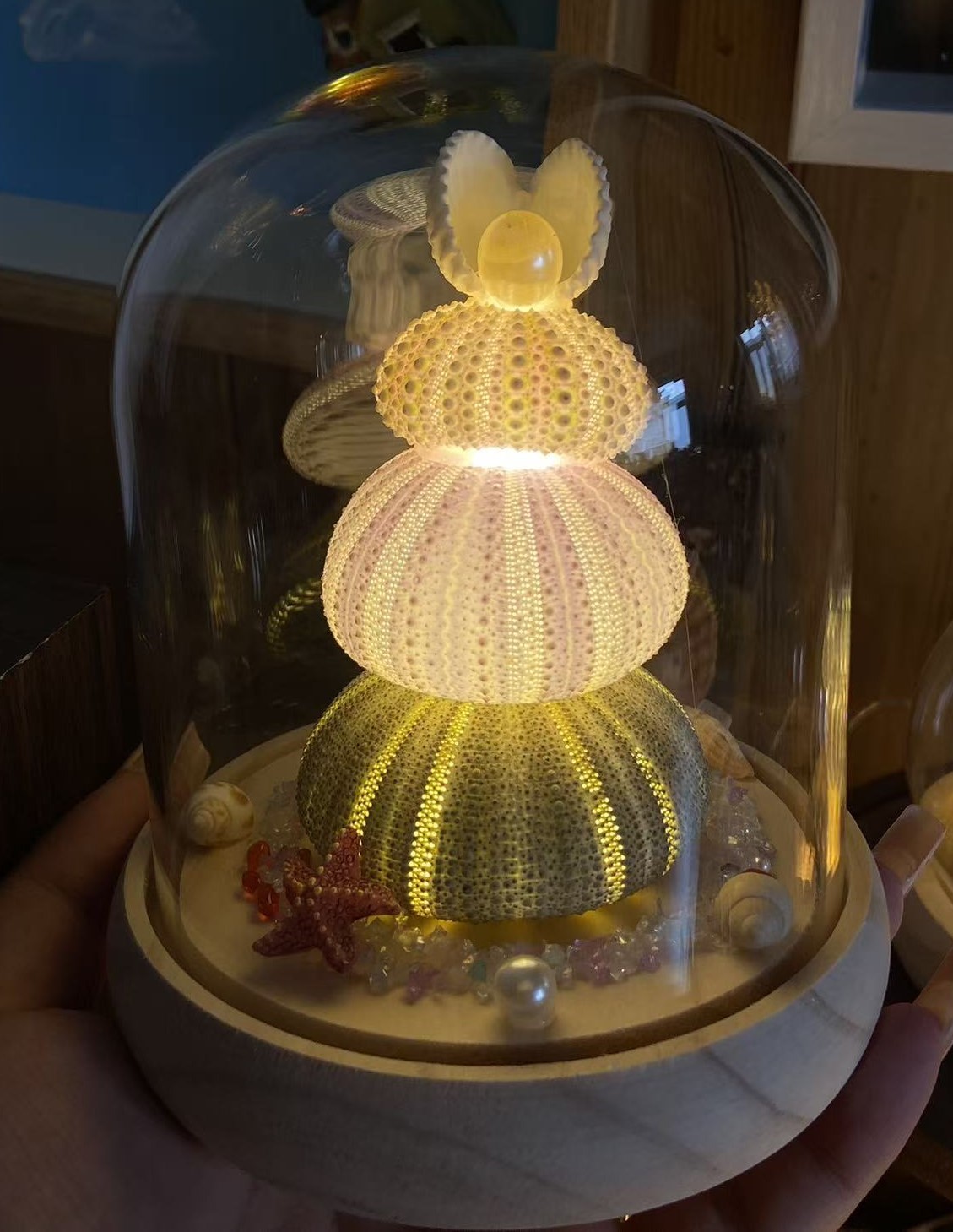 Shell Lamp wholesale shell craft – LAMP-S01-R010, view 1