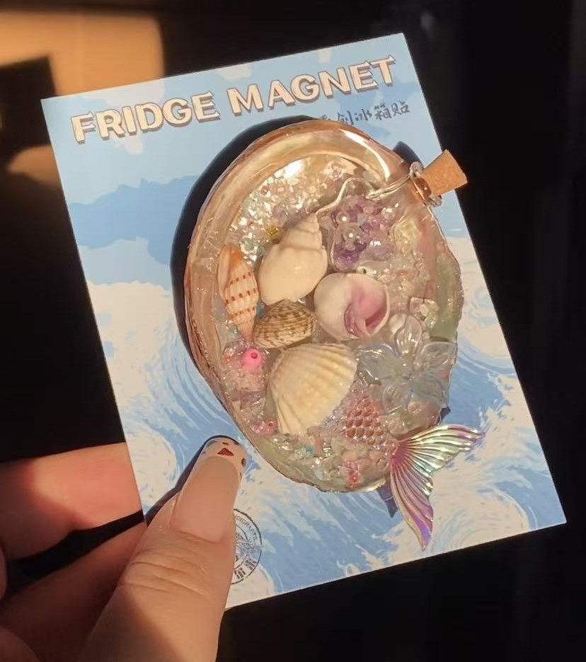 Shell Magnet wholesale shell craft – MAG-S01-R019, view 1