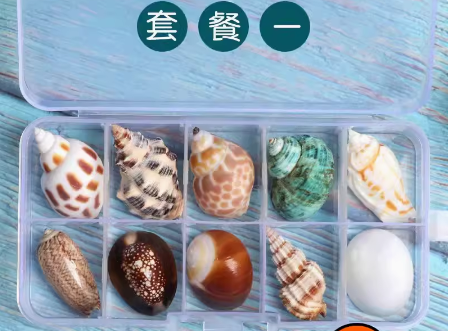 Specimen Displays Item