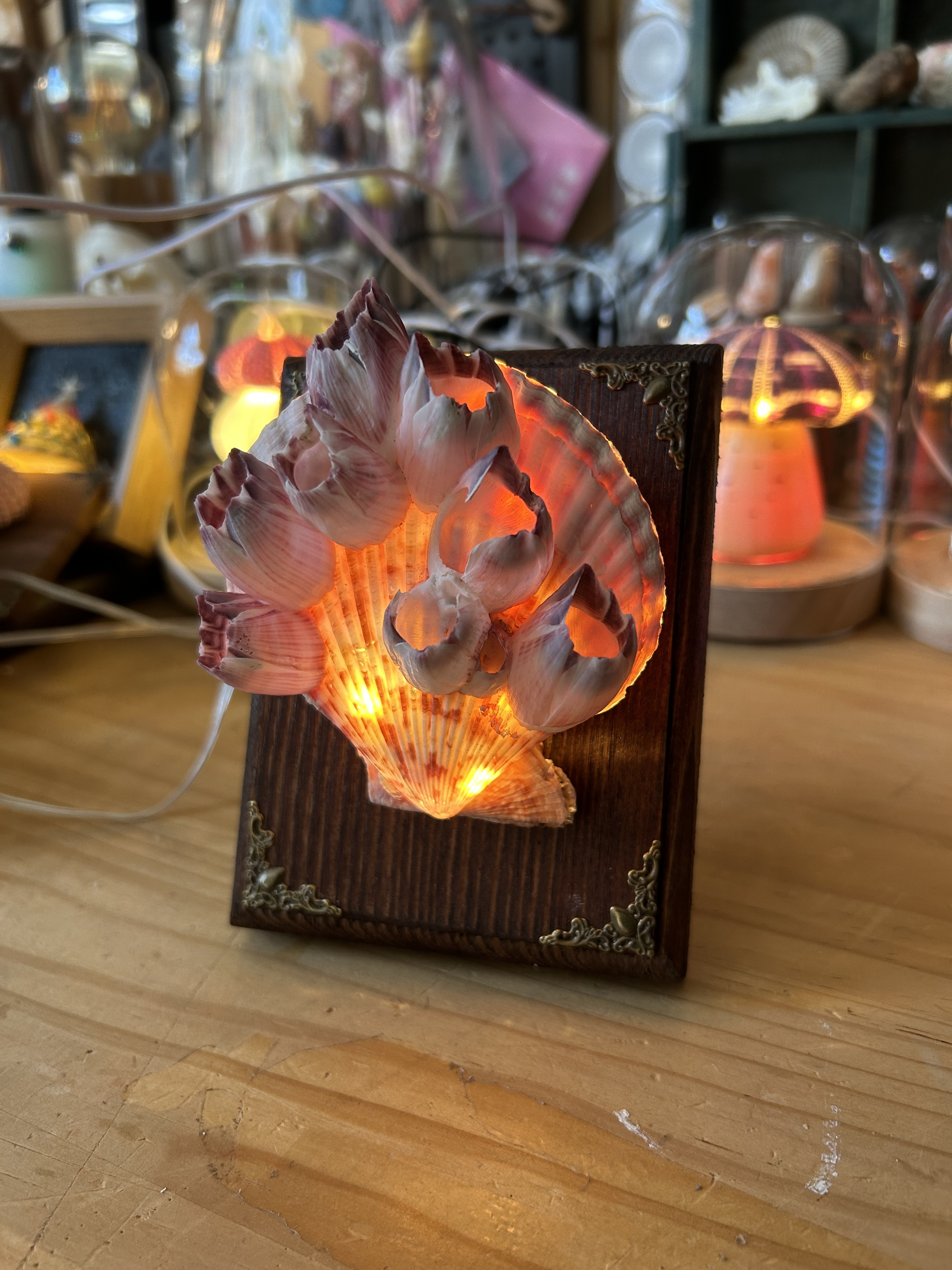 Shell Lamp wholesale shell craft – LAMP-S01-R015, view 1