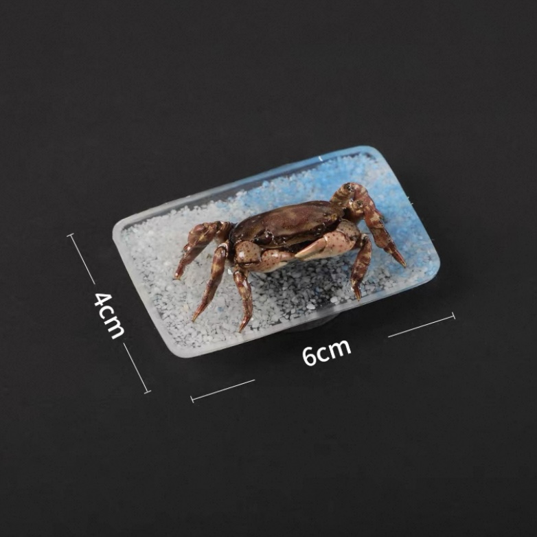 Shell Magnet wholesale shell craft – MAG-S01-R016, view 1