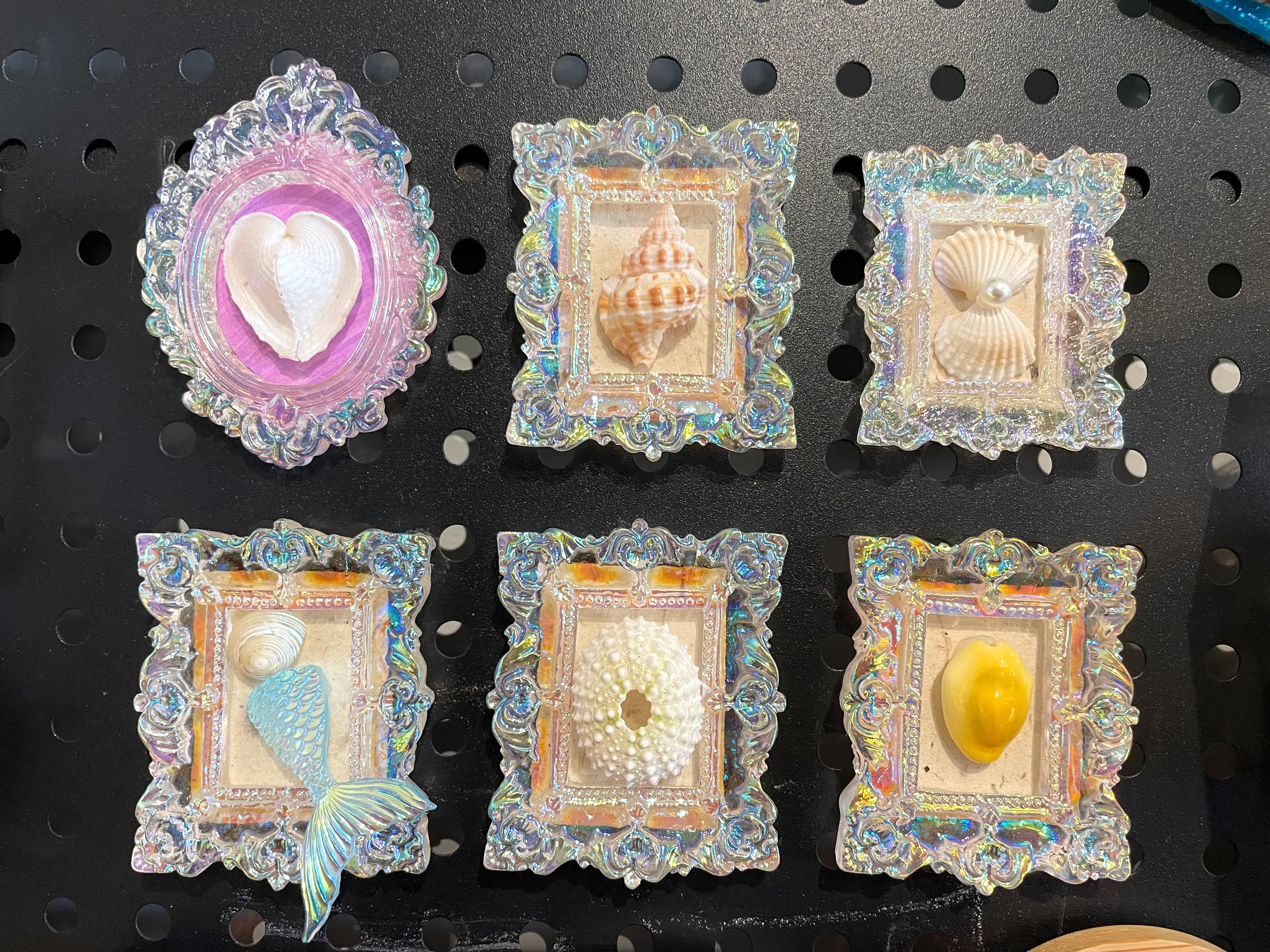 Shell Magnet wholesale shell craft – MAG-S01-R020, view 1