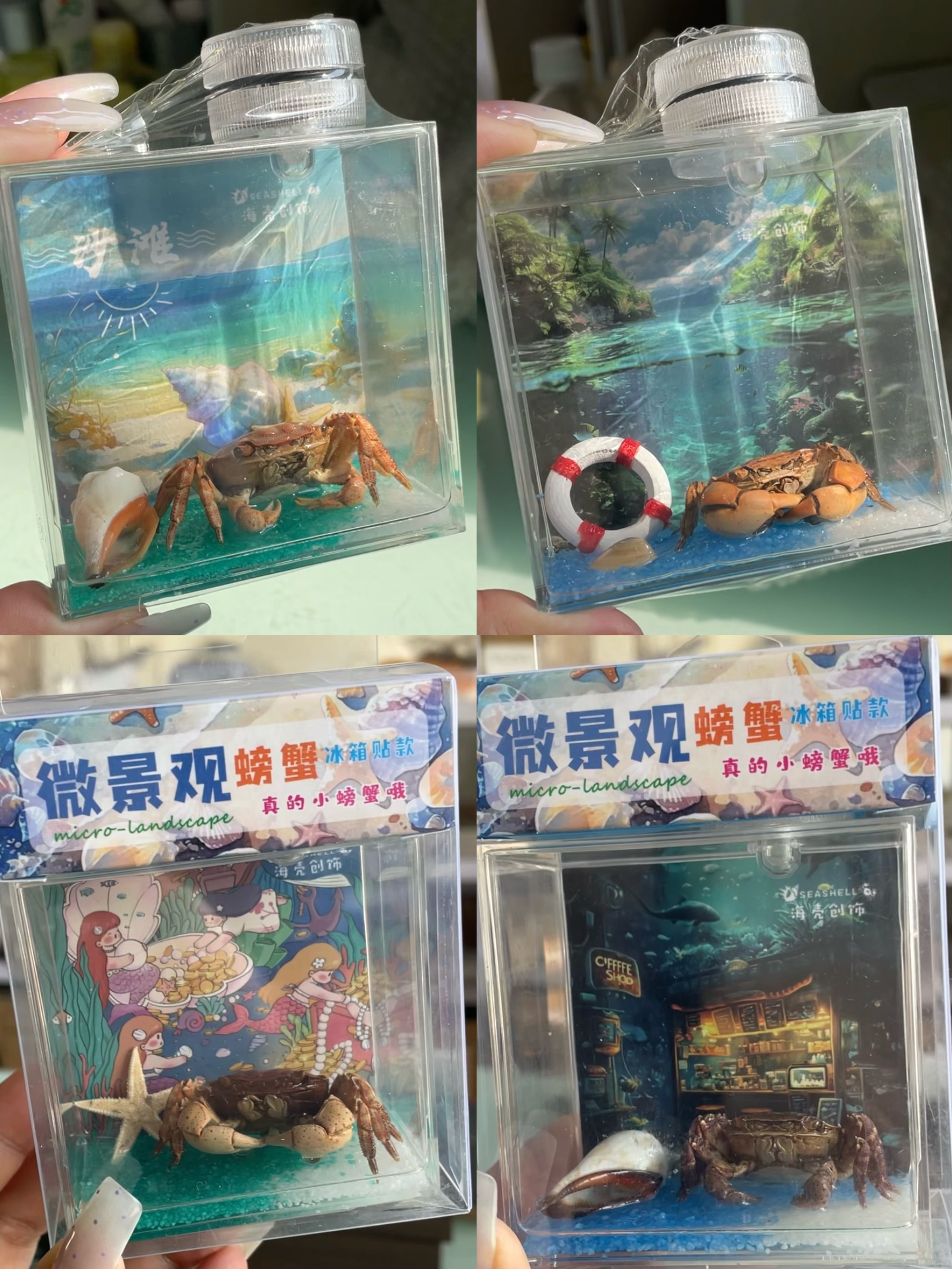 Shell Magnet wholesale shell craft – MAG-S01-R021, view 1