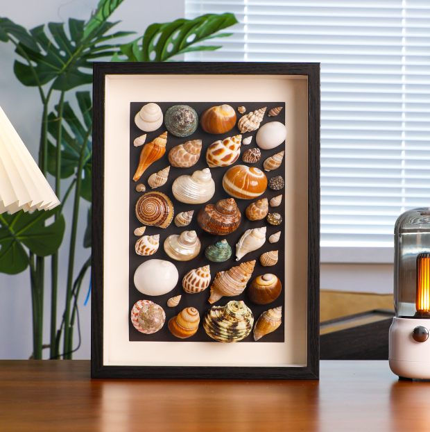 Shell Photo Frame wholesale shell craft – FRAME-S02-R019, view 1
