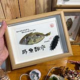 Shell Tabletop Display wholesale shell craft – FRAME-S02-R024, view 1