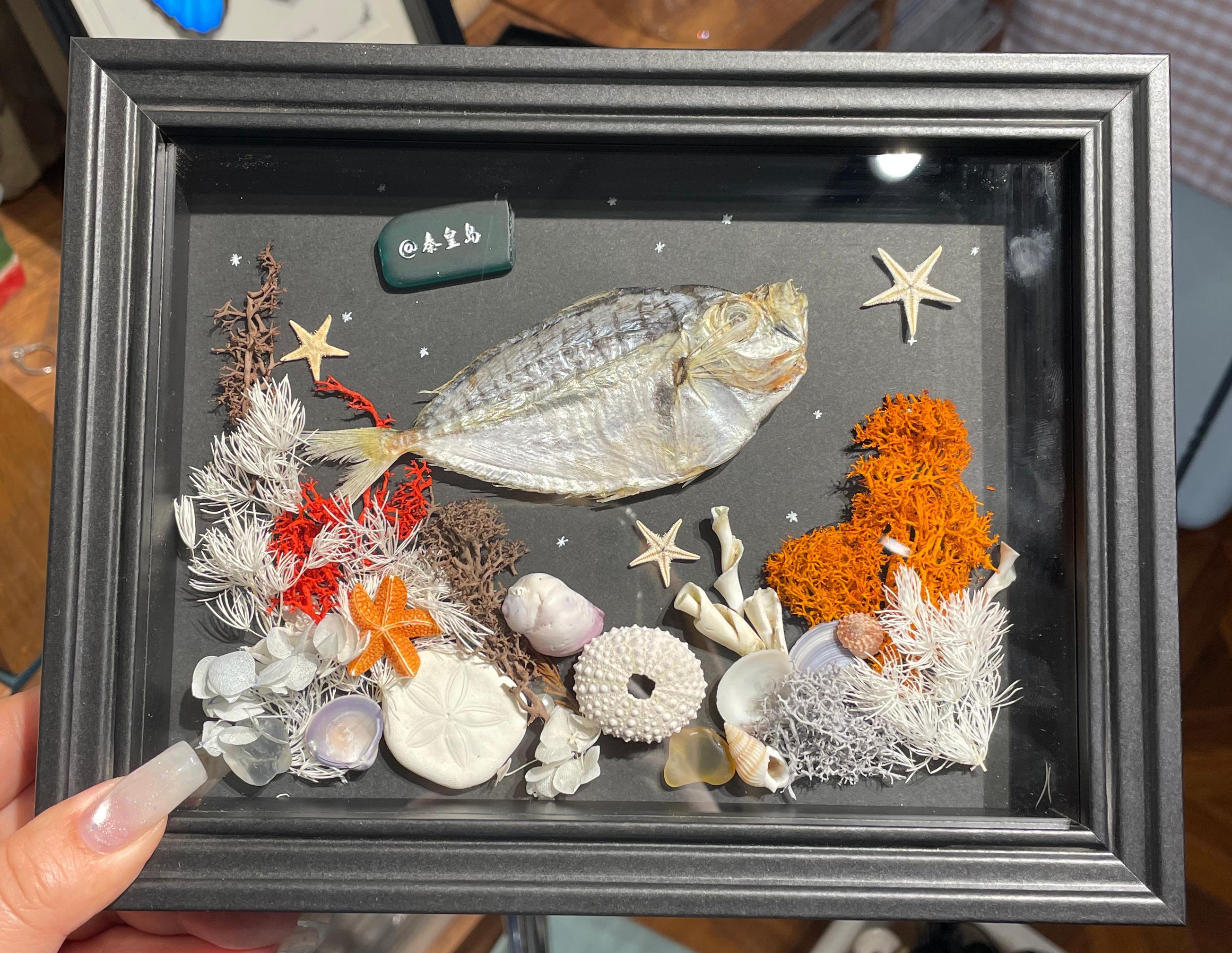 Shell Tabletop Display
